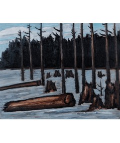 Reprodukcja obrazu Rozlewiska w górę Millinocket Way