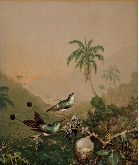 Reprodukcja obrazu Brazylijskie kolibry