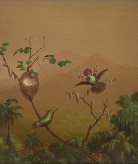 Reprodukcja obrazu Brazylijskie kolibry