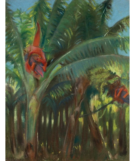 Reprodukcja obrazu Las bananowy z kolekcji Canary