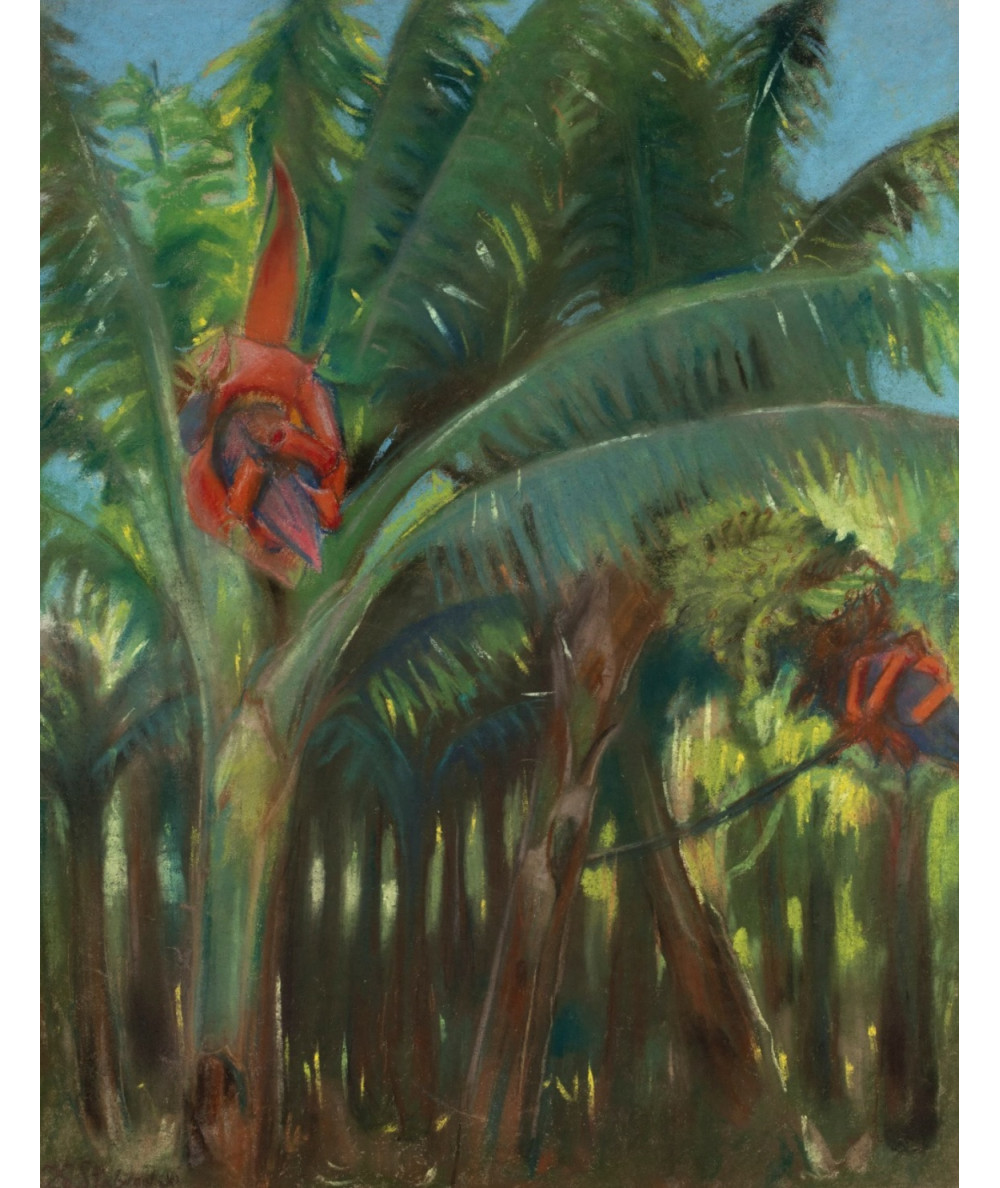 Reprodukcja obrazu Las bananowy z kolekcji Canary