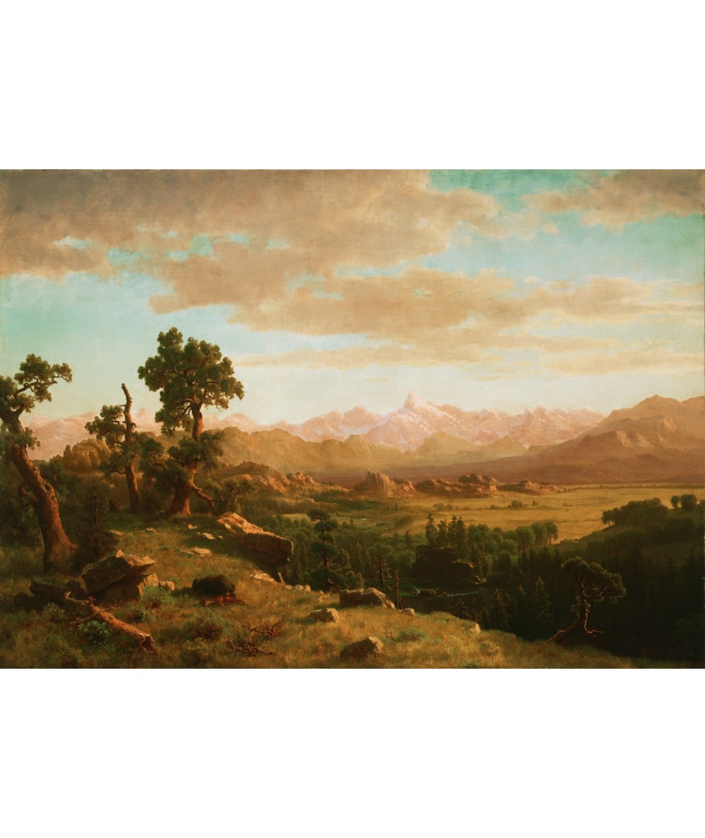reprodukcja obrazu Wind River Country